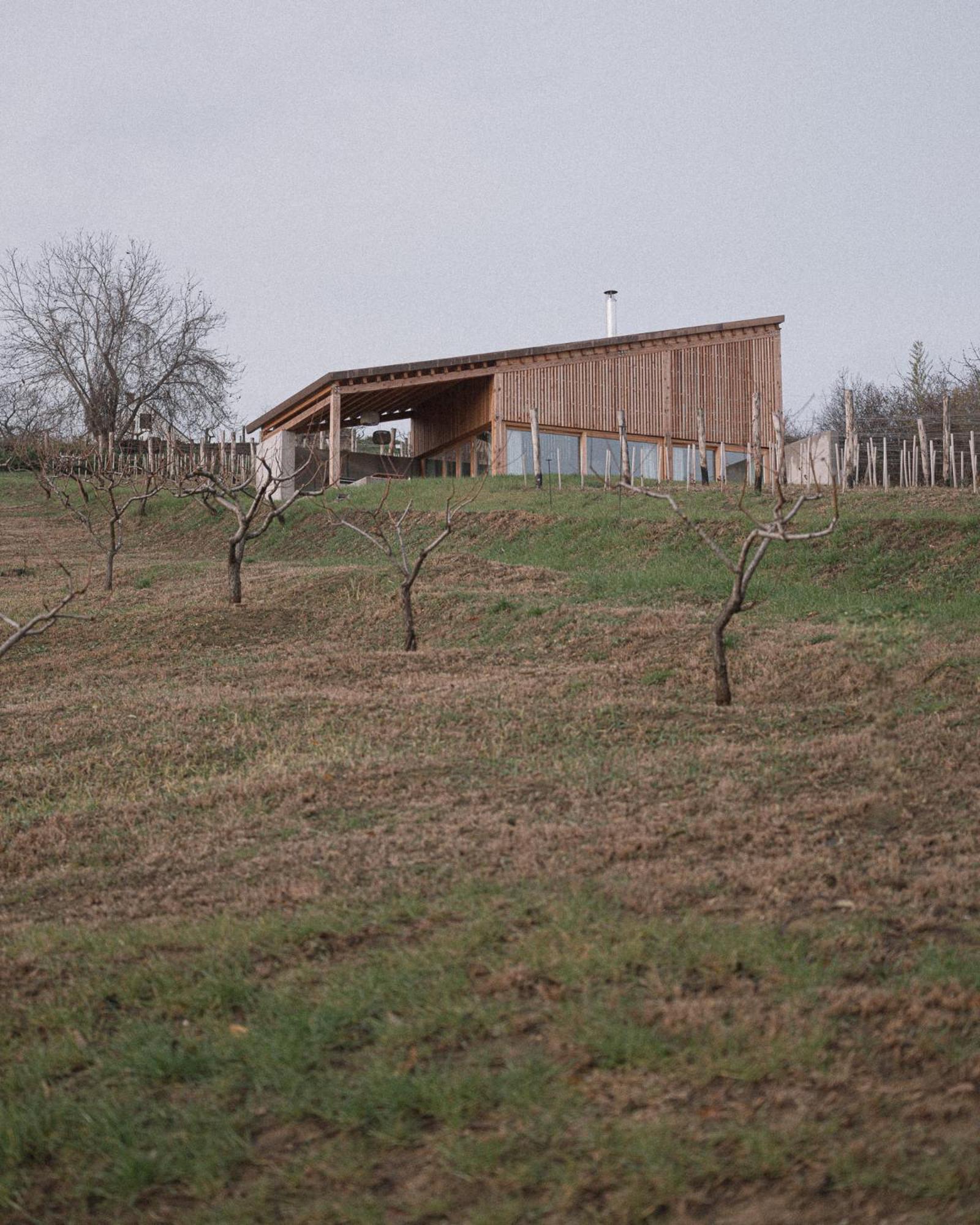 Szegzard - The Lodge Szekszárd Zewnętrze zdjęcie